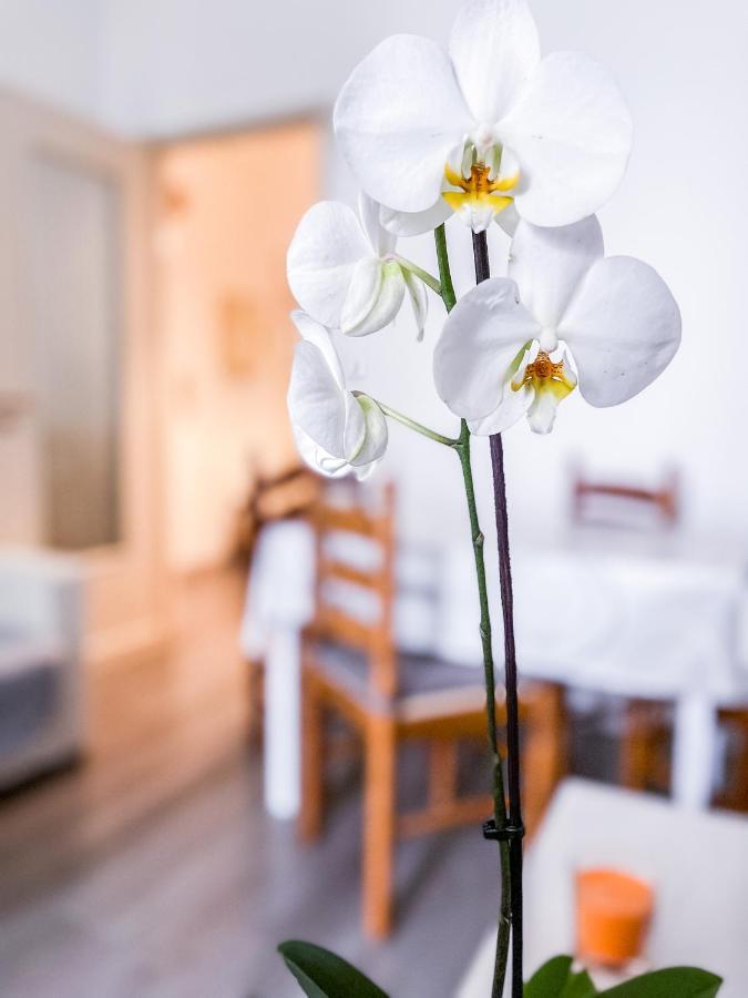 Myhouse Inn Marche - Affitti Brevi Italia Торино Екстериор снимка
